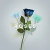 Matthew Parker & Sajan Nauriyal - Roses - Single